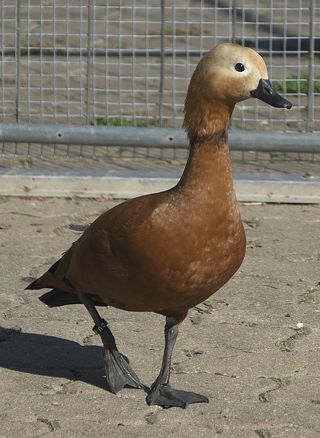 上了一场惊