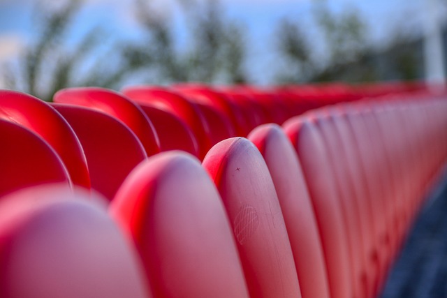 職業體育中 職業體育中