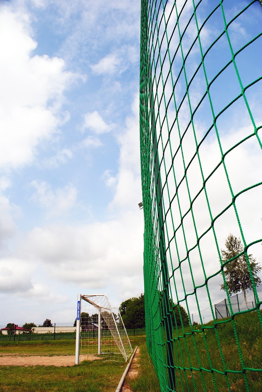 鋼成長的代 鋼成長的代