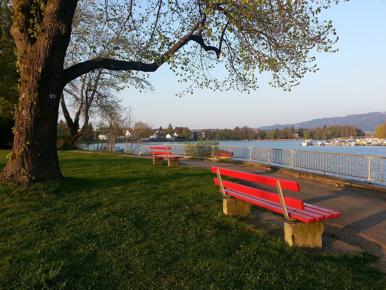 领先的情况 领先的情况
