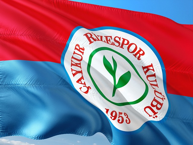 像进行成长 像进行成长